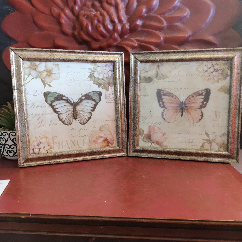 Set of 2 Butterfly framed prints